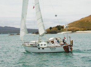 Velella underway in New Zealand